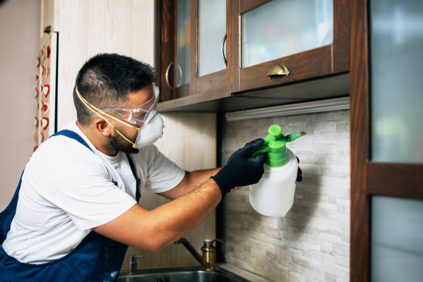 Best Flea Control Services  in Leesburg, GA