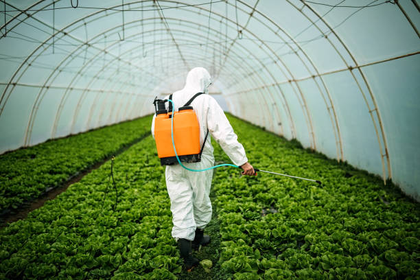 Reliable Leesburg, GA Pest Control Solutions