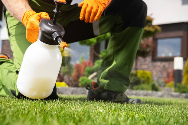 Best Affordable Pest Control Services  in Leesburg, GA