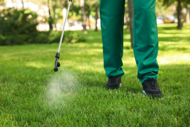 Best Bed Bug Extermination  in Leesburg, GA