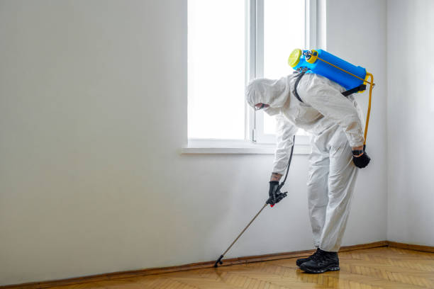 Best Rat Extermination Near Me  in Leesburg, GA