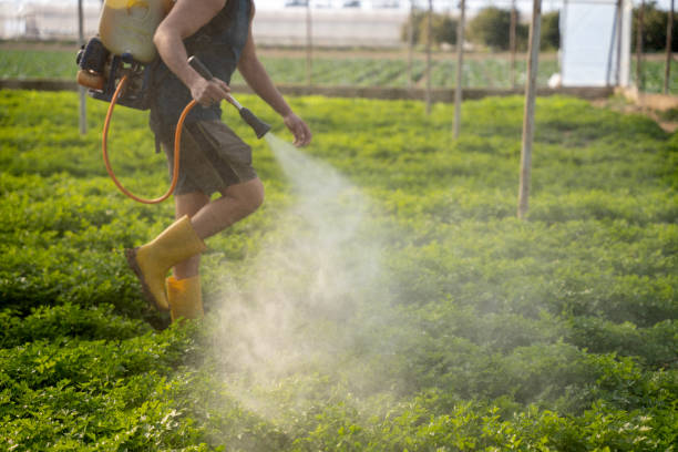 Best Affordable Pest Control Services  in Leesburg, GA