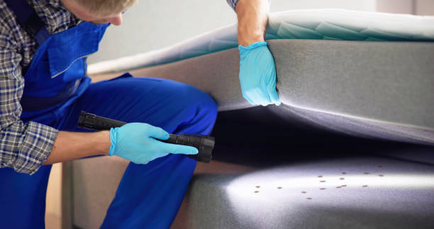 Best Mosquito Control Services  in Leesburg, GA