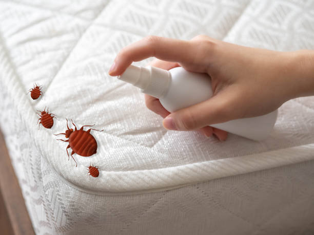 Pest Control for Restaurants in Leesburg, GA