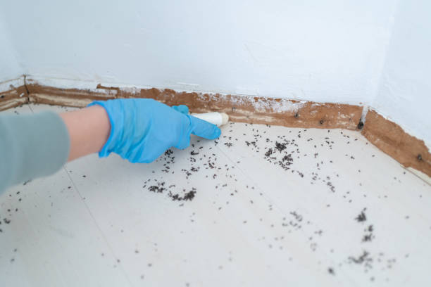 Best Mosquito Control Services  in Leesburg, GA