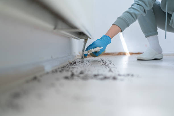 Best Rodent Control Near Me  in Leesburg, GA